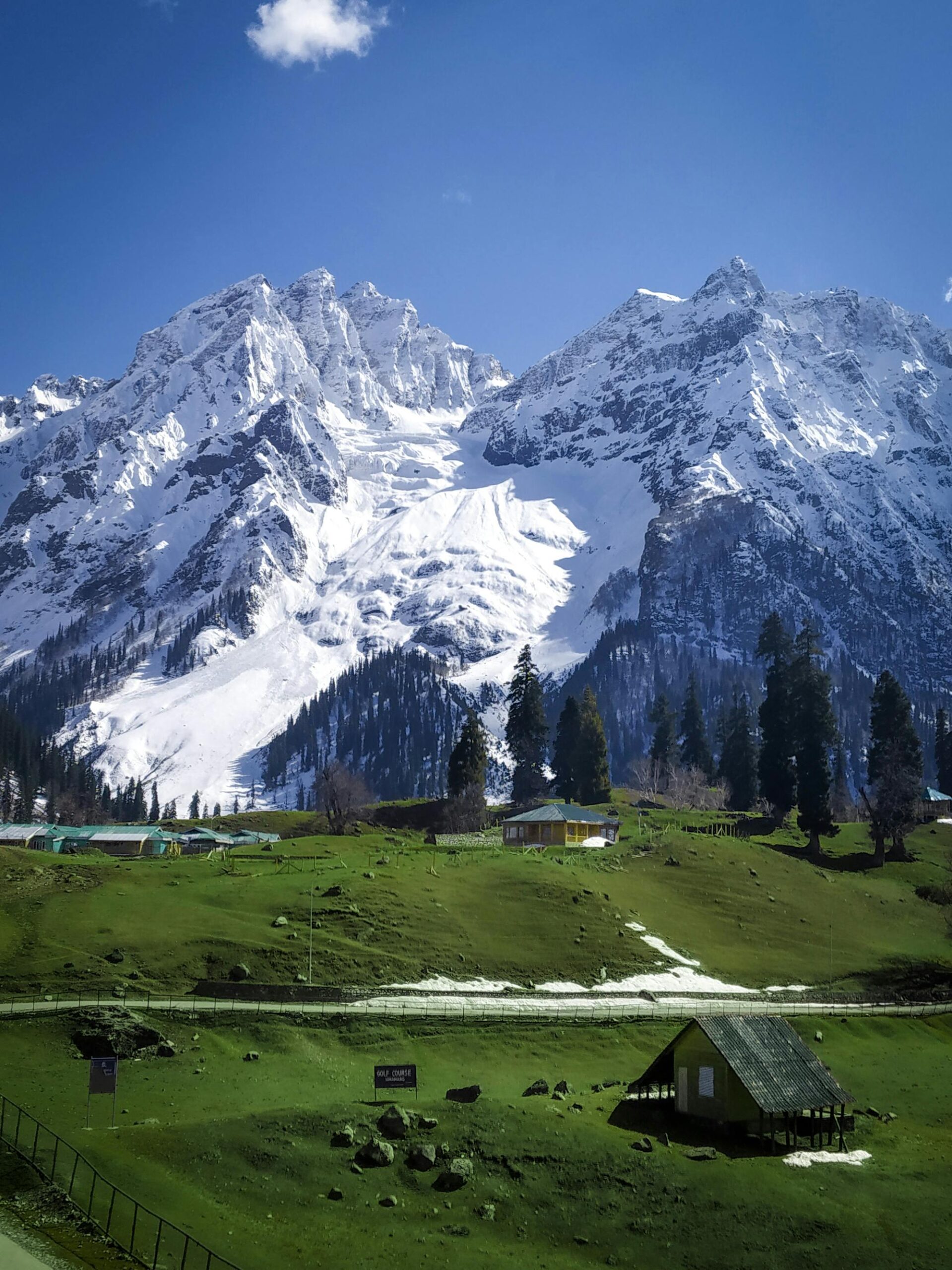 Stunning view of snow-covered mountains and vibrant green grassland in Kashmir.