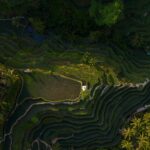 Mesmerizing aerial shot capturing the lush green rice terraces at sunset, showcasing intricate patterns and vibrant colors.