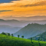 WhatsApp Image 2025-07-29 at 23.02.00_292c808f