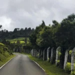 WhatsApp Image 2025-08-03 at 13.34.23_c574eda3 (1)